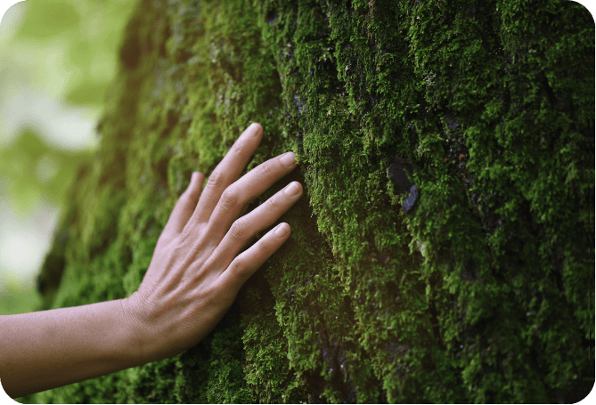 Encyclo blog partage - gestion forestiere