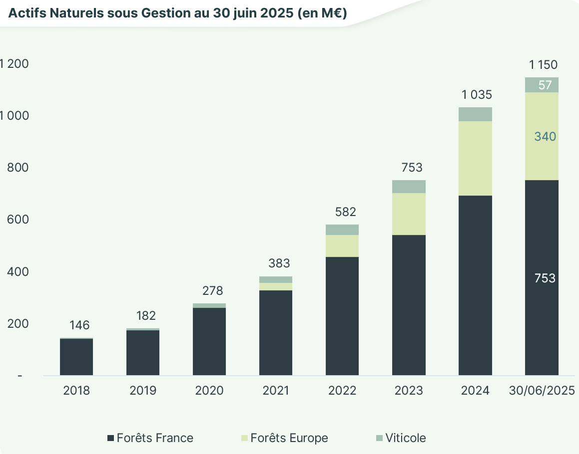 Capture décran 2025-07-08 222735