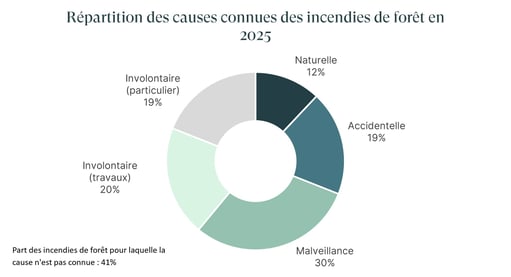 Causes_incendies_France