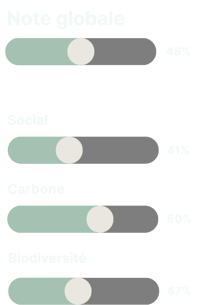 ESG FONDS NOTE IMNAS
