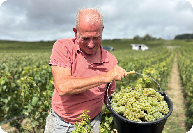 Encyclo blog partage vendanges champagne