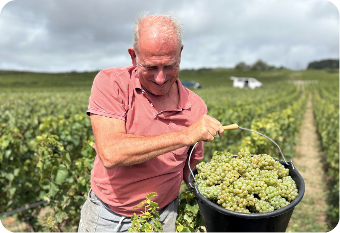 Encyclo blog partage vendanges champagne