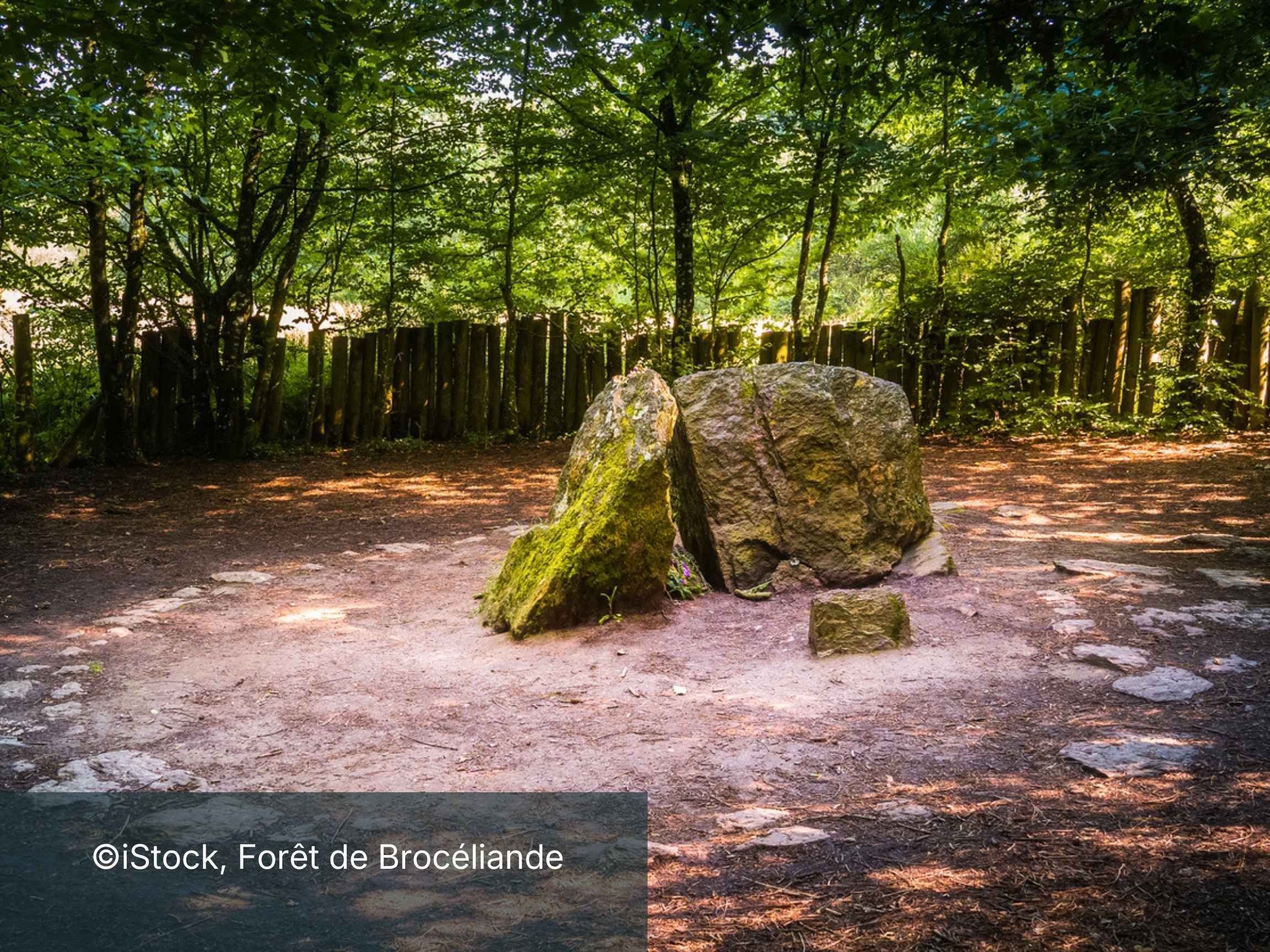 FORET BROCELIANDE