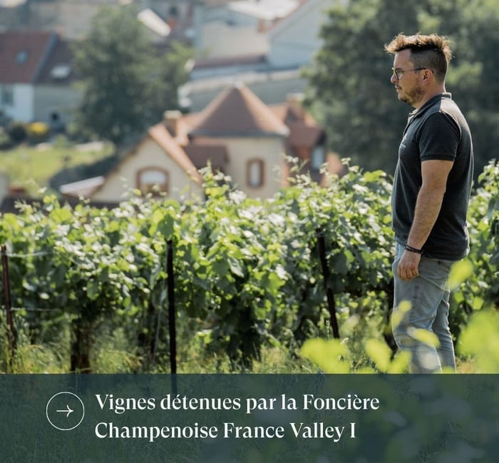 Foncière Champenoise France Valley I - COLLIN