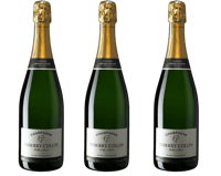 Foncière Champenoise France Valley I - collin