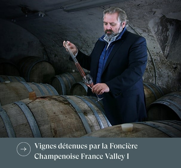 Foncière Champenoise France Valley I - metivier