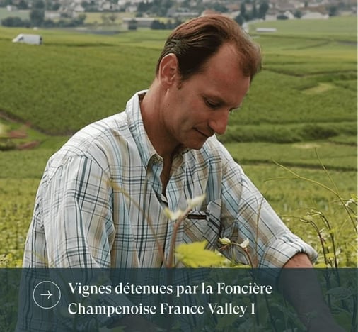 Foncière Champenoise France Valley I payelle