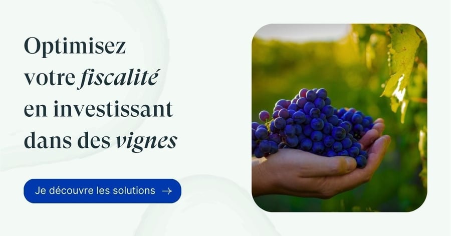 LEXIQUE  VITI 2