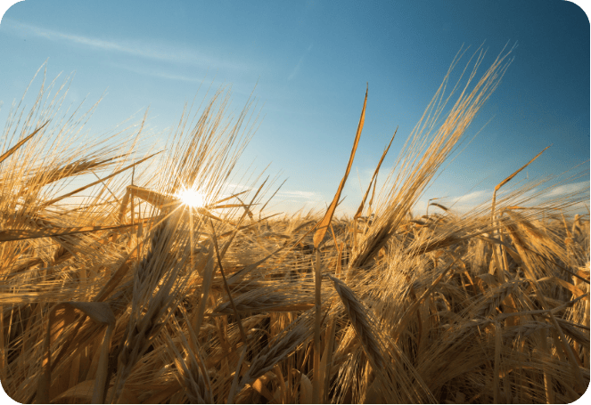 LEXIQUE AGRI HEADER