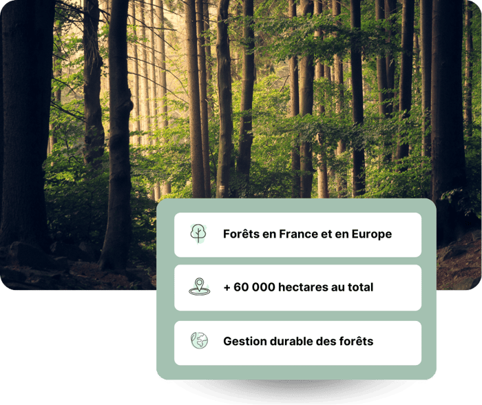 LP compressed forest