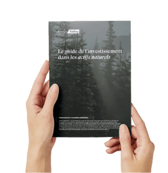 Lead magnet mail generique