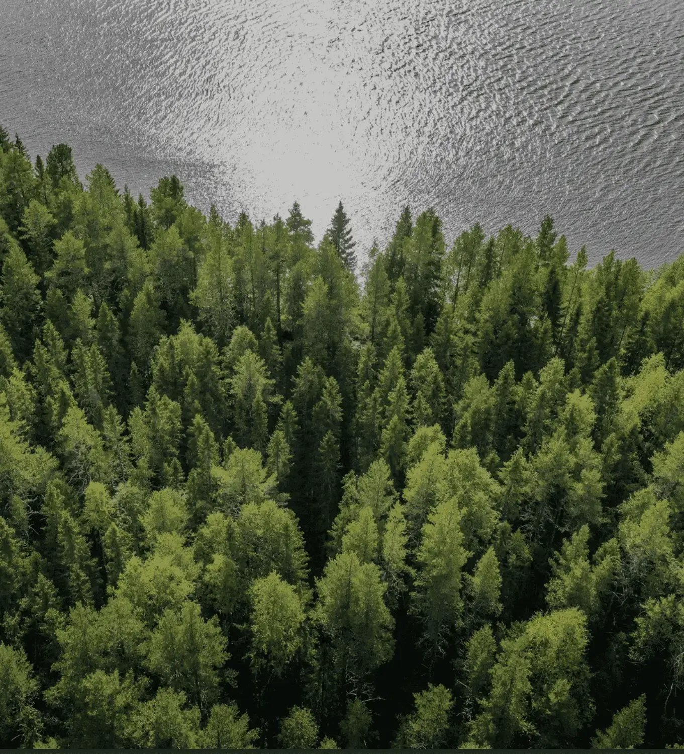 Fonciere Europe - Forêt dImnas
