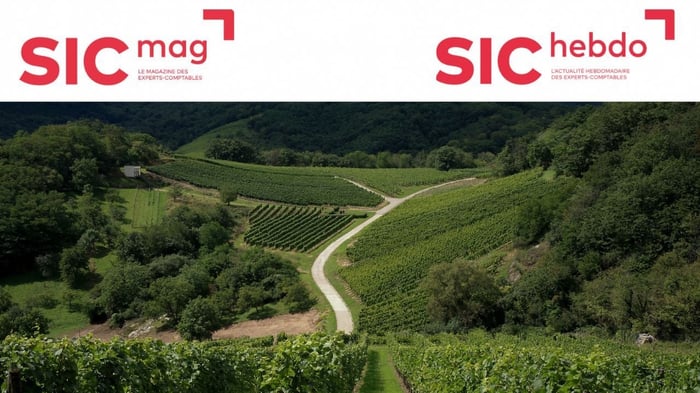 Post au fil des saisons vignettes (Vignette YouTube)