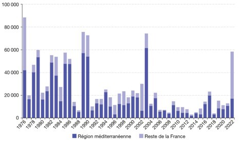 Surfaces_incendiees_France