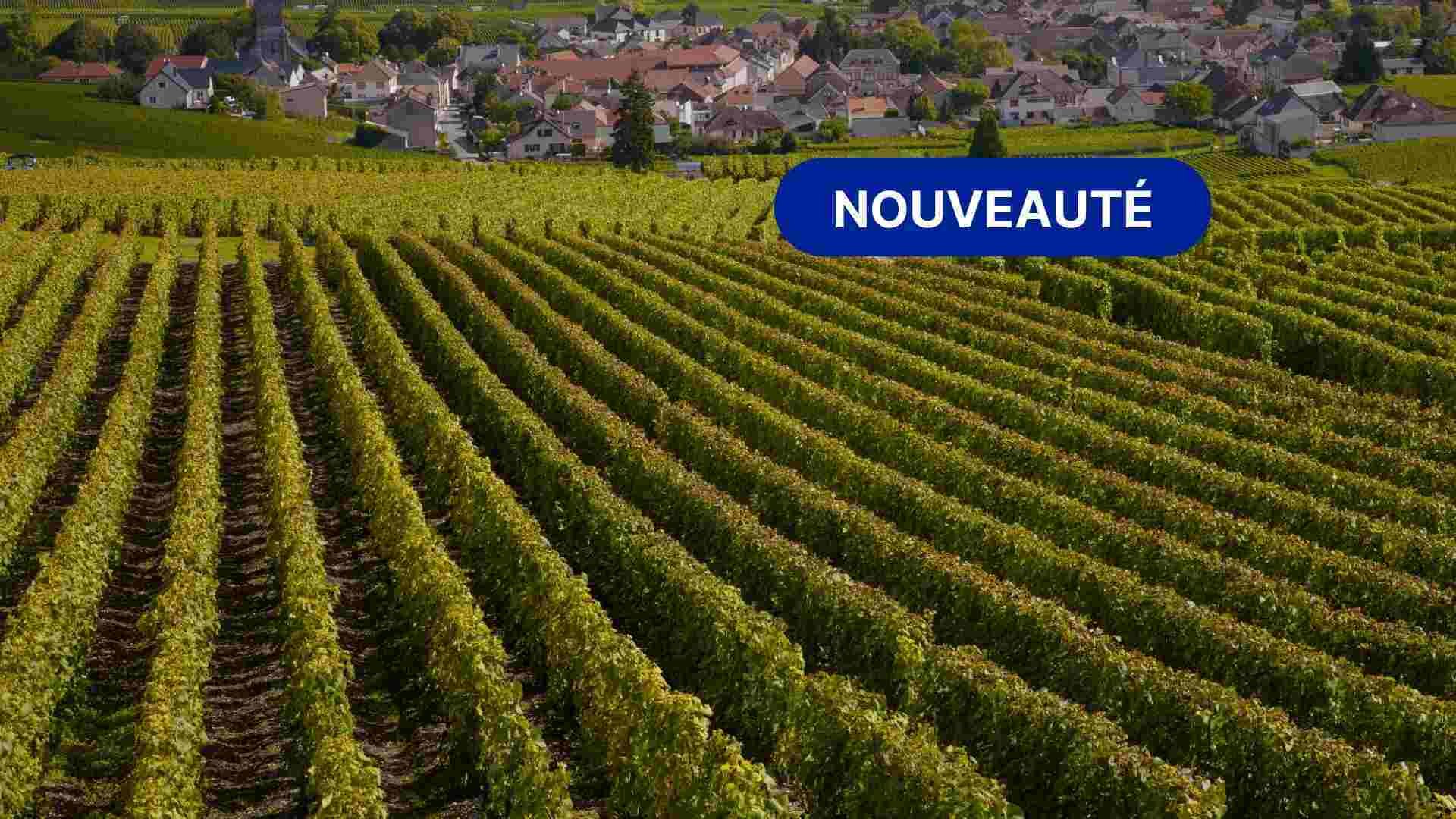 banniere sca bourgogne-1