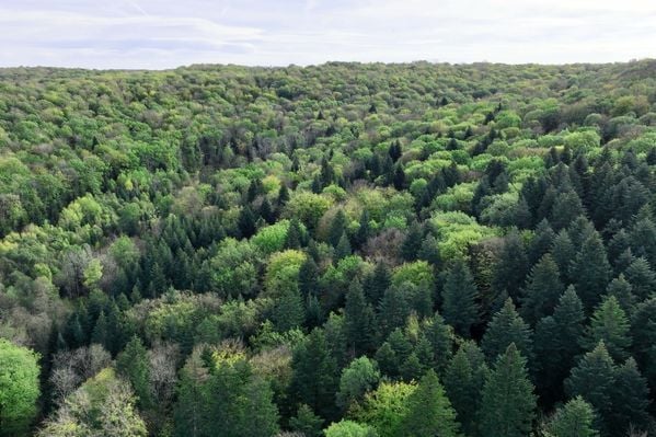 bourlemont PAGE POUR SITE