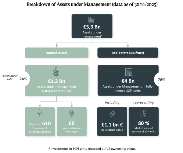 breakdown of asset 301125