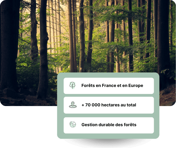 hectares foret fv