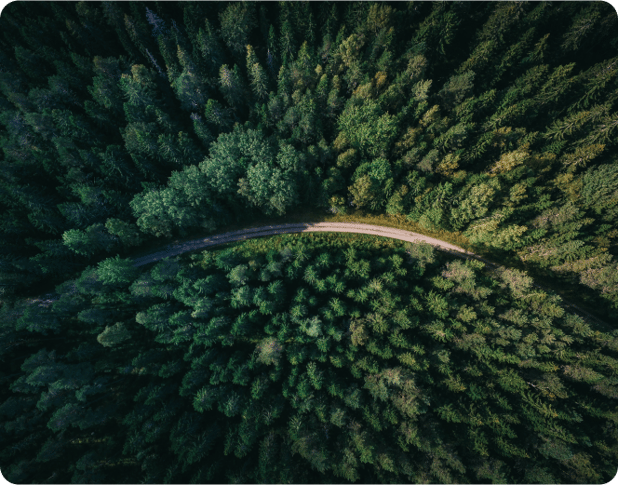 Foret