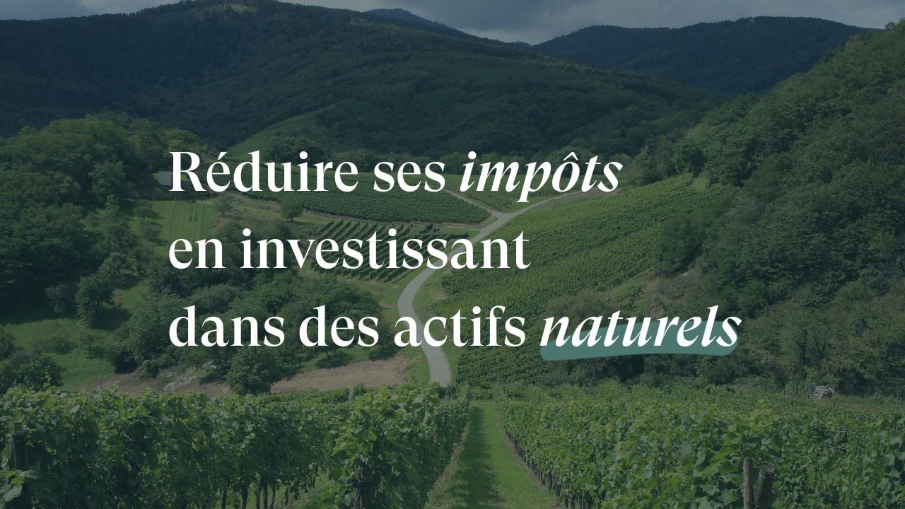 IR-PME : découvrez nos produits éligibles !