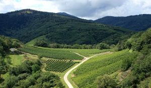 Evolution des prix de souscription au 1er août 2025