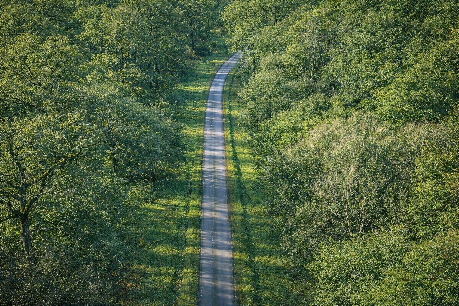 Le GFI Patrimoine renforce son portefeuille avec 1 745 hectares en Moselle