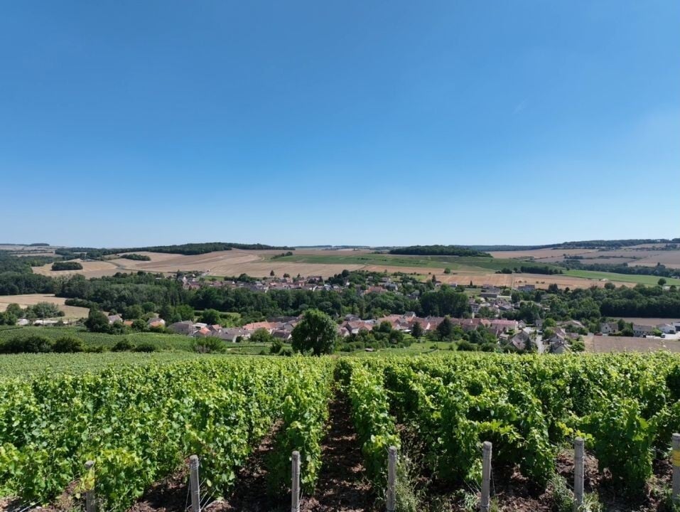 passy grigny champagne